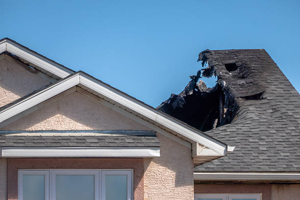 Licensed Fire Damage Removal service in Ocoee, FL - Fire Damage Laser Cleaning
